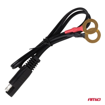 Prostownik cyfrowy AGM GEL STD LFP MAX 1,5A 6V 12V AMIO-04526