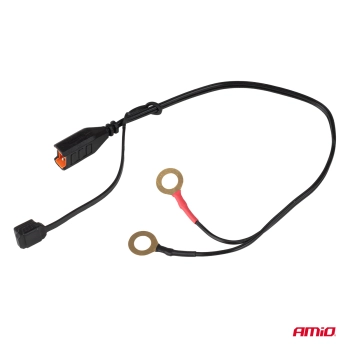 Prostownik cyfrowy AGM GEL STD LFP MAX 4A 6V 12V PRO HOOK AMIO-04531
