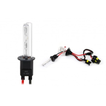 Żarówka ksenonowa żarnik hid xenon H1 6000K AMIO-01417