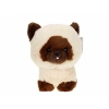 Maskotka Teddy Pets, kot syjamski