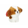 Maskotka Teddy Pets, Shih Tzu