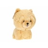 Maskotka Teddy Pets, Chow-Chow
