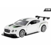Model 1:43  Bentley Continental GT3, biały