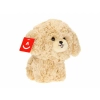 Maskotka Teddy Pets, Pudel, złoty