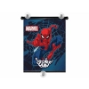 Roleta 36x45 cm, Spider-Man