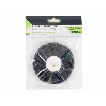 Dysk trzpieniowy z włókniny do usuwaniardzy, FI 100 mm x 15 mm