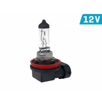 Żarówka VISION H8 12W 35W PGJ19-1 U E4