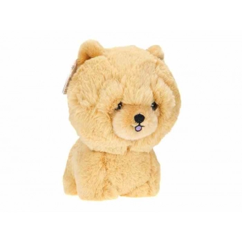 Maskotka Teddy Pets, Chow-Chow