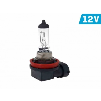 Żarówka VISION H11 12V 55W PGJ19-2 U E4