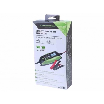 Prostownik z mikroprocesorem do akumulatorów 6V/12V - 2A/4A, 1.2-120 Ah, IP65