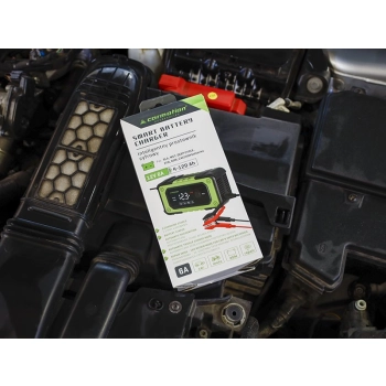 Inteligentny prostownik cyfrowy do akumulatorów 12V 6A, 4-120 Ah