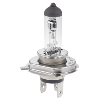 Żarówka VISION H19 12V 60/55W PU43T-3