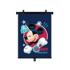 Roleta 36x45 cm, Mickey